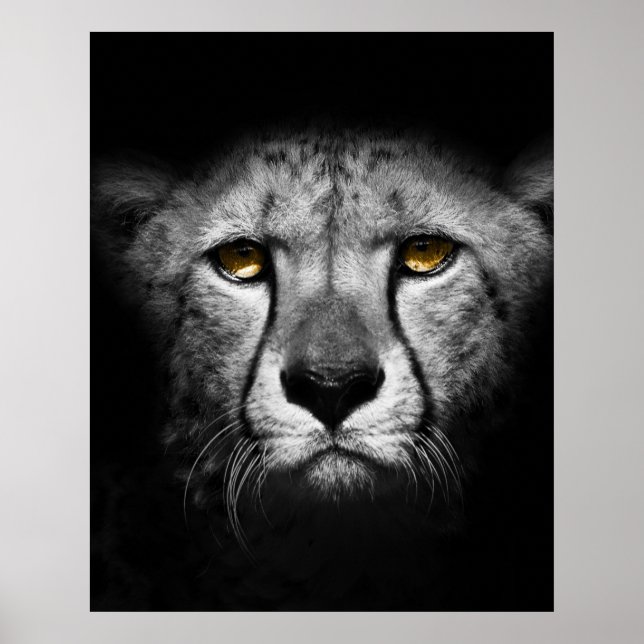 Ein exotisches afrikanisches Tier Poster (Vorne)