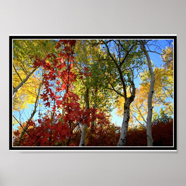 Ein fantastischer Fall (mit Grenze) Poster (Vorne)