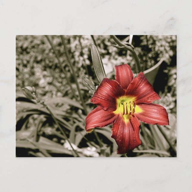 Ein Farbtupfer Postkarte (Vorderseite)