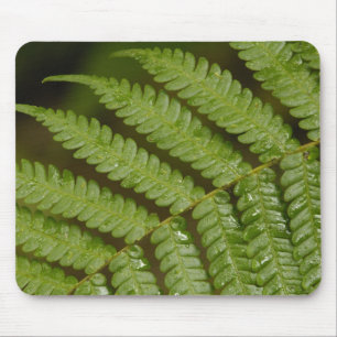 Ein Farn-Detail, aus dem Mindo Cloud Forest, Mousepad