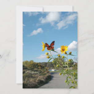 Ein faszinierendes Spektakel Einladung