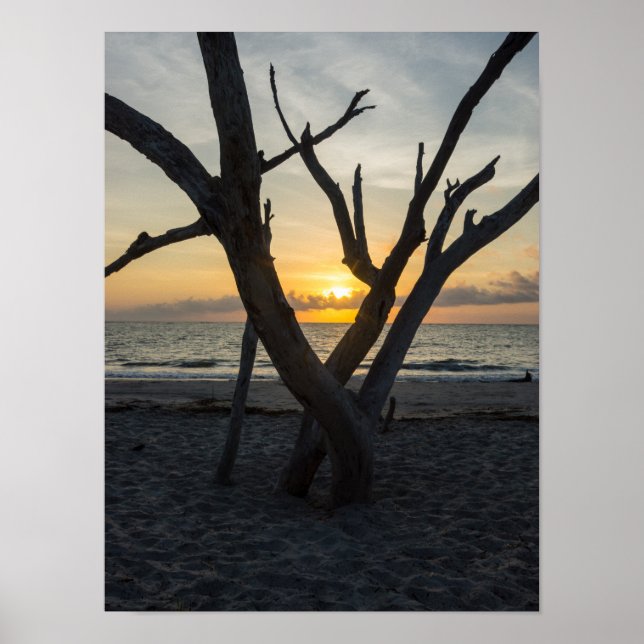 Ein fauler Sonnenaufgang Poster (Vorne)