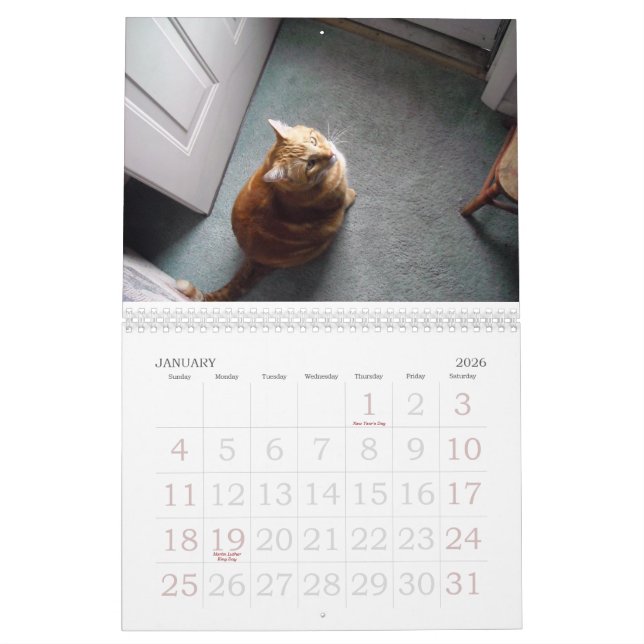 Ein feines Fandango ~ ein Jahr von Louie Kalender (Jan 2026)