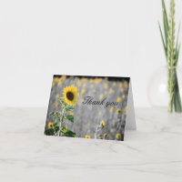 Ein Feld der Sonnenblumen in Schwarz und Weiß
