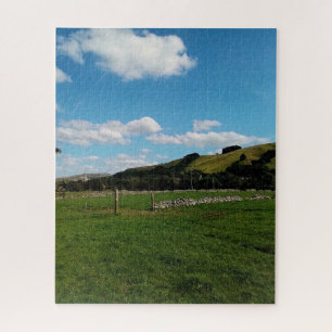 Ein Feld im Sommer