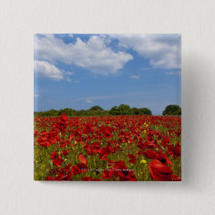 Ein Feld voll der roten Blumen Button