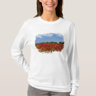 Ein Feld voll der roten Blumen T-Shirt