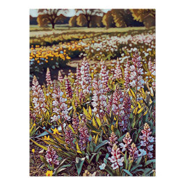 Ein Feld voller Blume - Glossy Poster