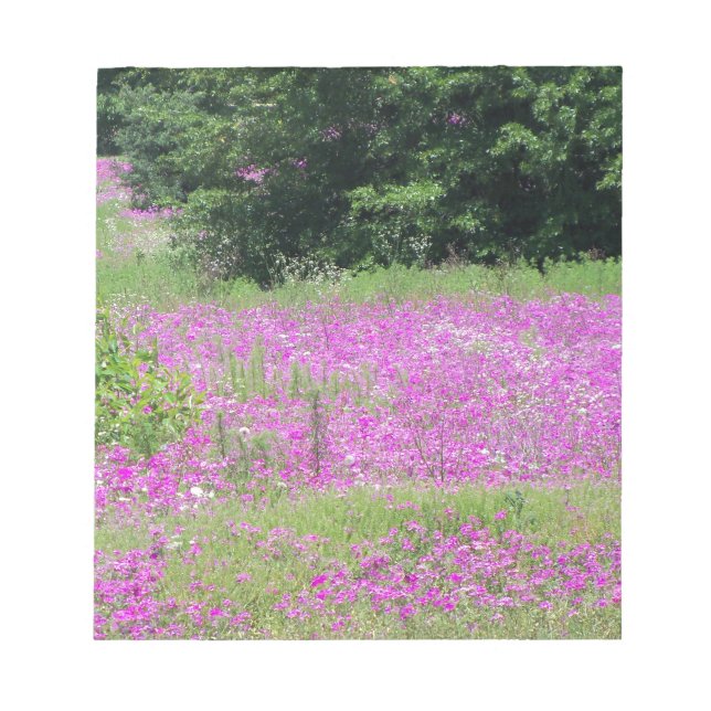 Ein Feld von rosa Frühlingsfrühlingstraßen-Wildblu Notizblock (Vorderseite)