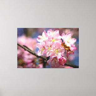 Ein Festival der rosa Kirschblüten im Frühling Leinwanddruck