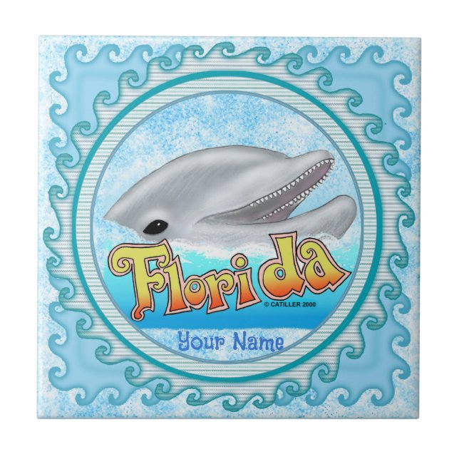 Ein Florida-Delfin Fliese (Vorderseite)