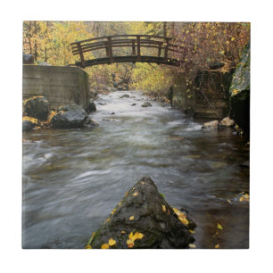 Ein Fluss, der durch amerikanische Gabel-Schlucht Fliese
