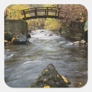 Ein Fluss, der durch amerikanische Gabel-Schlucht Quadratischer Aufkleber