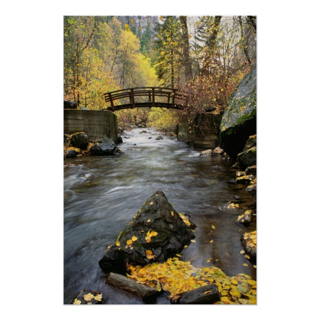 Ein Fluss, der durch den American Fork Canyon flie Poster (Vorderseite)