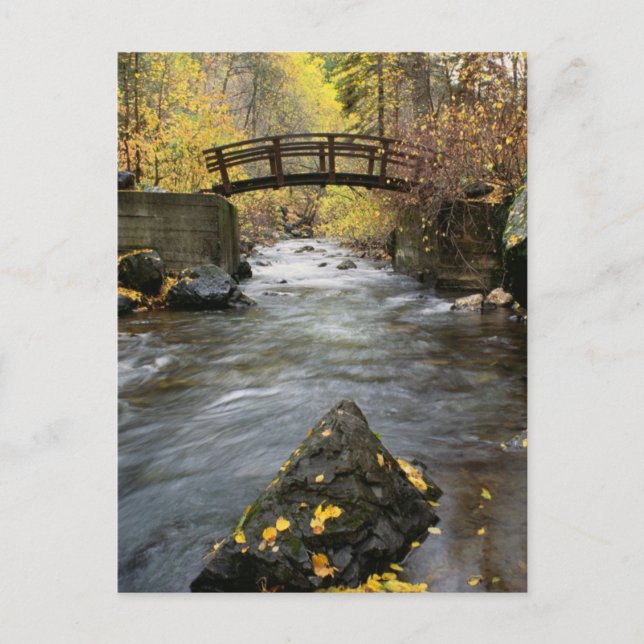 Ein Fluss, der durch den American Fork Canyon flie Postkarte (Vorderseite)