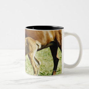 Ein Fohlen und ein Pferd in einer Weide Zweifarbige Tasse