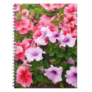 Ein Foto der Natur ist eine wunderschöne Petunia-B Notizblock