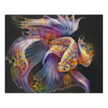 Ein Foto eines Aquariums Fisch