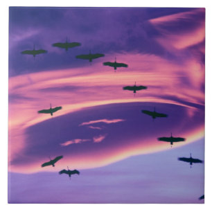 Ein Fotocomposite von Sandhill-Kranichen im Flug Fliese