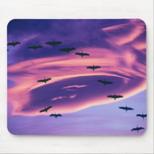 Ein Fotocomposite von Sandhill-Kranichen im Flug Mousepad
