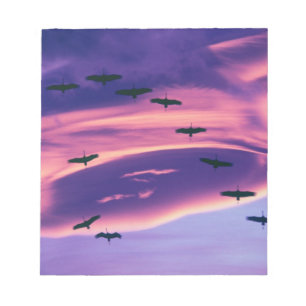 Ein Fotocomposite von Sandhill-Kranichen im Flug Notizblock