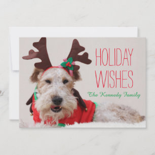 Ein Fox-Terrier ist zu Weihnachten verkleidet