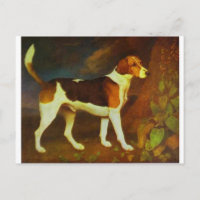 Ein Foxhound, Ringwod von George Stubbs