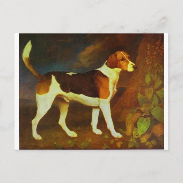 Ein Foxhound, Ringwod von George Stubbs Postkarte (Vorderseite)