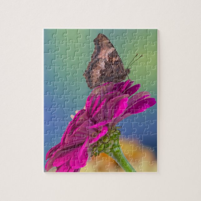 Ein Frack Butterfly | Papilio Multicaudatus (Vertikal)