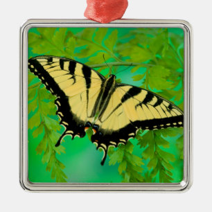 Ein Frack-Schmetterling-Landing Ornament Aus Metall