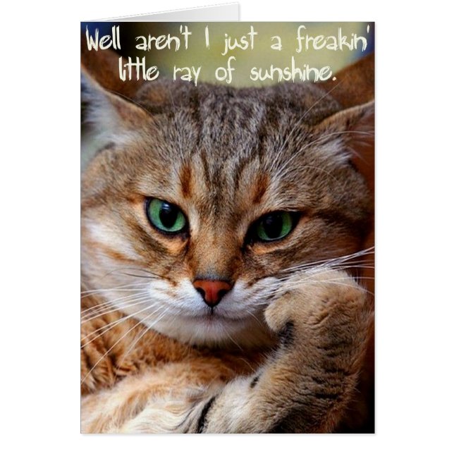 Ein Freakin Sonnenstrahl (Vorne)