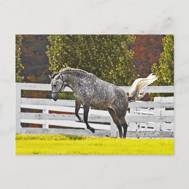 Ein freudiger Schritt Postkarte (Vorderseite)