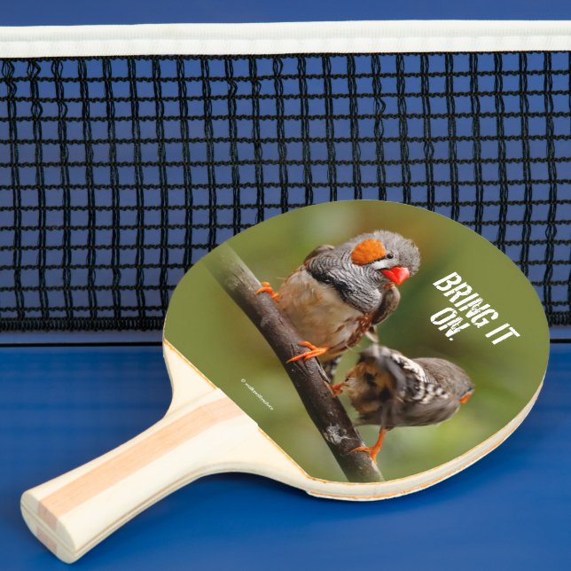 Ein freudliches Paar Zebra Finch Songbirds Tischtennis Schläger (InSitu)