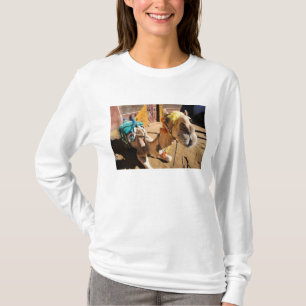 Ein freundliches Kamel wartet auf seinen nächsten  T-Shirt
