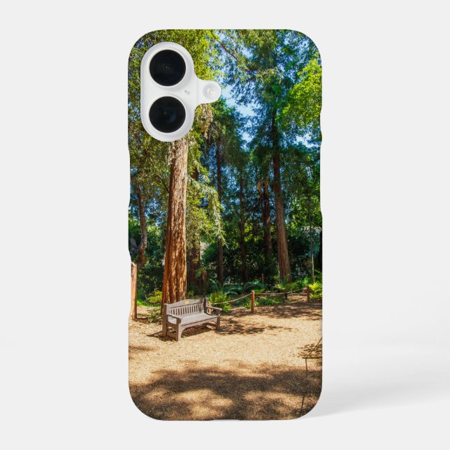 Ein friedlicher Fußweg zum Descanso Gardens iPhone 16 Hülle (Rückseite)
