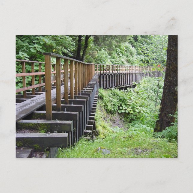 Ein Friedlicher Spaziergang Postkarte (Vorderseite)