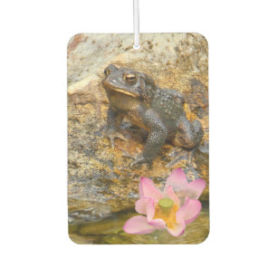 Ein Frosch träumt von einer Lotus-Blume Autolufterfrischer