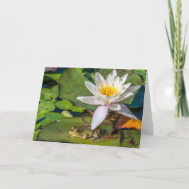Ein Frosch unter einer Nnuphar-Blüte Karte
