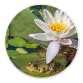 Ein Frosch unter einer Seeroseblume Keramikknauf