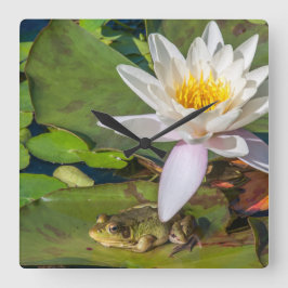 Ein Frosch unter einer Seeroseblume Quadratische Wanduhr