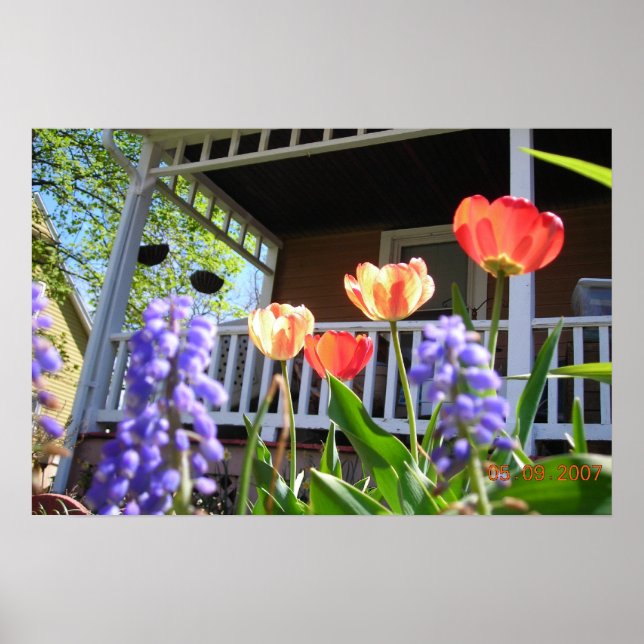 Ein Frühlingsgarten Poster (Vorne)