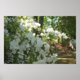 Ein Frühlingsspaziergang Poster