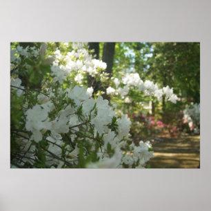 Ein Frühlingsspaziergang Poster