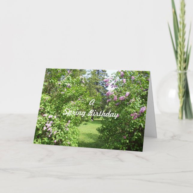 Ein Frühlingstracht Karte (Vorderseite)