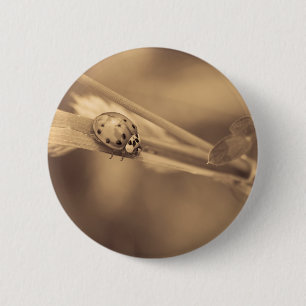 ein ganzer Sommer Button
