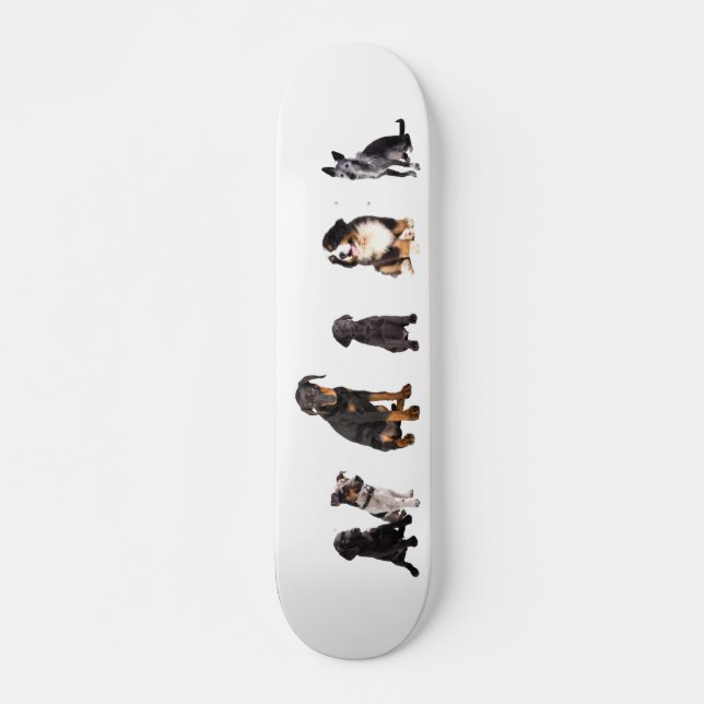 ein ganzes Los Hunde Skateboard (Vorne)