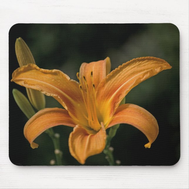 Ein Garden Delight Mousepad (Vorne)