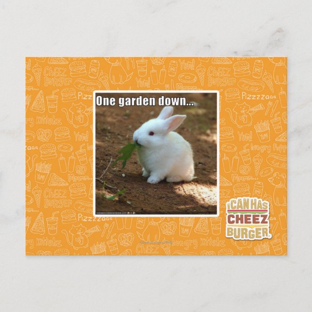 Ein Garten Down� Postkarte (Vorderseite)