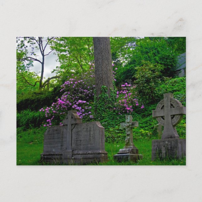 Ein Garten Erholung PostCard Postkarte (Vorderseite)
