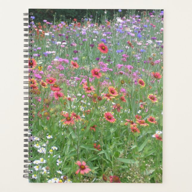 Ein Garten mit Wildblumen Planer (Vorderseite)
